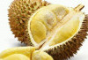 Apakah Buah Durian menjadi solusi alami untuk mencegah penuaan dini? Ini Faktanya 