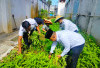 Kalapas Martapura Panen Kangkung Perdana di Lapas 