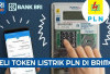 Solusi Cerdas Ibu Rumah Tangga: Beli Token Listrik Praktis dengan BRImo