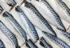 Kaya Omega-3 dan Vitamin Esensial, Makarel Bantu Kulit Tetap Muda dan Sehat