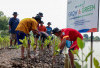 Peringati Hari Mangrove Sedunia, BRI Pertegas Komitmen Selamatkan Lingkungan Lewat Perbaikan Ekosistem Pesisir