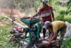 Harga Kopi di OKU Selatan Naik 