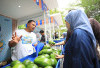 Berkat Program Pemberdayaan BRI Klasterku Hidupku, Petani Ini Berhasil Kembangkan Budidaya Alpukat