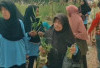 Ajak Budidayakan Cocok Tanam Obat Tradisional