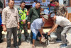 Sudah ada Korban, Dinas Peternakan OKU Selatan Ingatkan Untuk Vaksin Hewan Peliharaannya