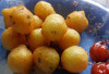 Cara Bikin  Crunchy Cheese Potato Ball yang Kenyal, Kreasi Cemilan Keluarga