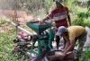 Harga Kopi OKU Selatan Mulai Mengalami Kenaikan