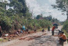 Gotong Royong Tampal Jalan Berlobang