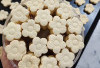 Langkah Bikin Kue Bangkit  yang Renyah, Ide Jualan Kue Kering  Menguntungkan