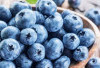 Blueberry, Superfood Ampuh untuk Melawan Penuaan Dini