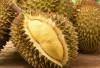 Wajib Tau, Ini Sederet Efek Samping Konsumsi Durian Secara Berlebihan