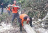 BPBD OKU Selatan Pulihkan Akses Jalan Akibat Pohon Tumbang 