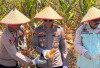 Dukung Ketahanan Pangan, Polres OKU Selatan Panen Raya Jagung Serentak
