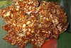 Resep Tengteng Kacang, Cemilan yang Manis dan Gurih