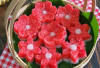  Resep Kue Sengkulun Tepung Ketan, Rasa Khas, Awet dan Empuk