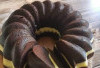 Resep Chiffon Coklat, Kreasi Sajian Lembut untuk Keluarga