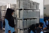 Pekerja Dapur MBG Pelangki Serempak Mengundurkan Diri