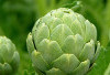 Mengatasi Penuaan Dini dengan Mengonsumsi Artichoke