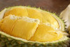 Buah Durian, Menjadi Solusi Alami Bagi Penderita Insomnia 
