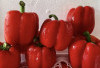 Tips Hidup Sehat dan Kulit Tetap Cantik dengan Mengonsumsi Paprika Merah