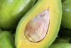 Manfaat Buah Alpukat untuk Mencegah Penuaan Dini: Kaya Vitamin, Lezat dan Mudah Diolah
